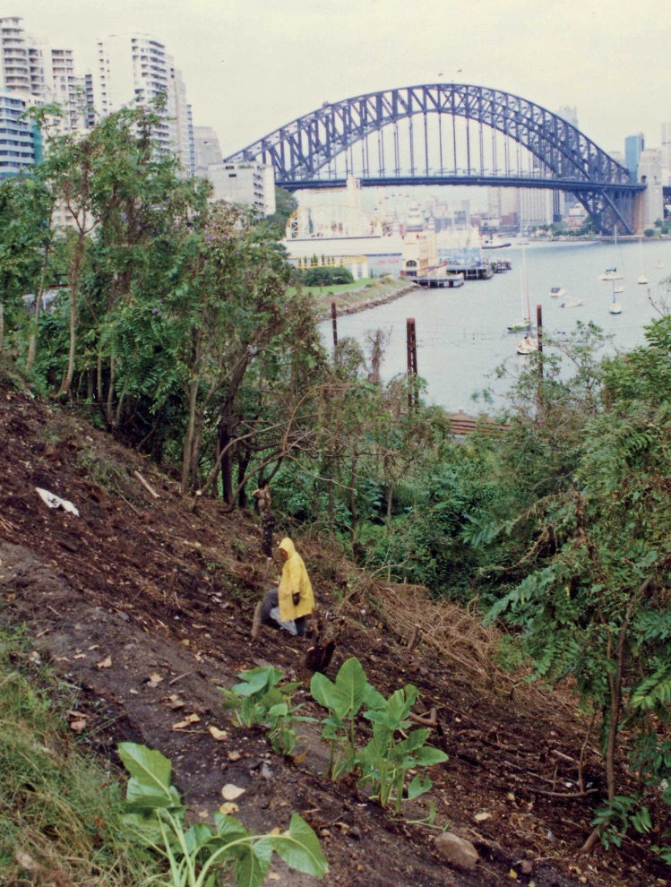 STREET GARDENING AS SHARED PURPOSE